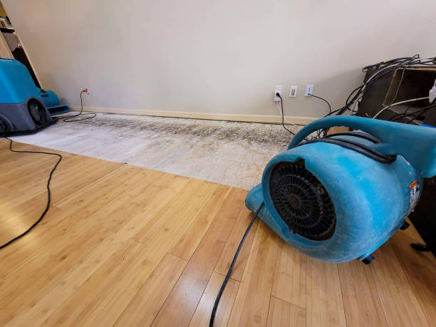 Professional Basement Flood Cleanup technician working in Summerdale, AL